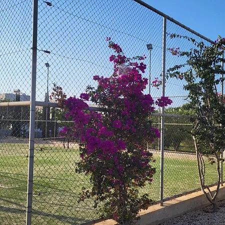 Mythical Sands - Hana Paralimni